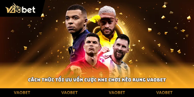 Cách thức tối ưu vốn cược khi chơi kèo rung Vaobet