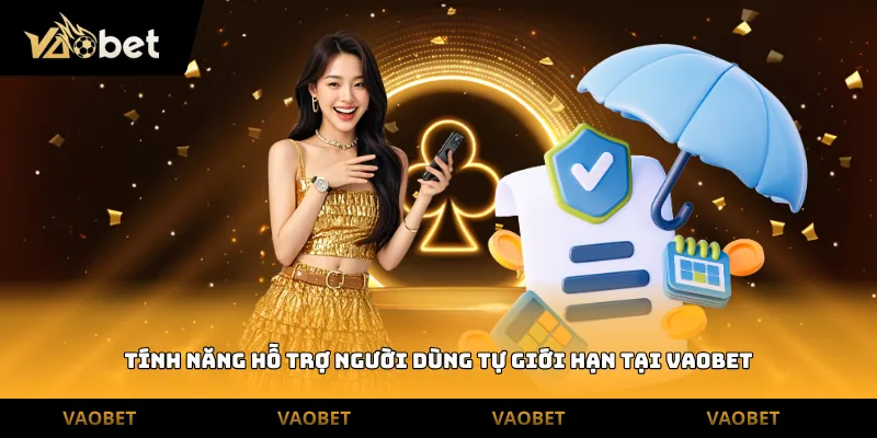 Tính năng hỗ trợ người dùng tự giới hạn tại Vaobet